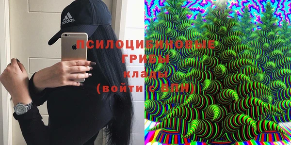 дурь Абдулино